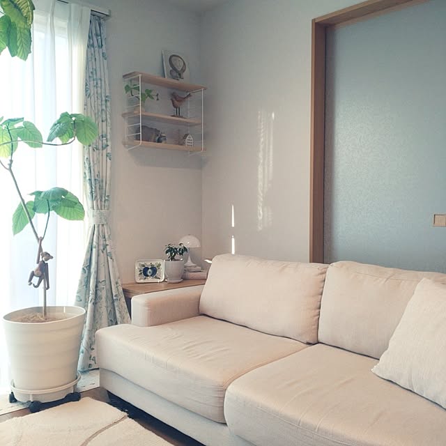 tan5さんの実例写真