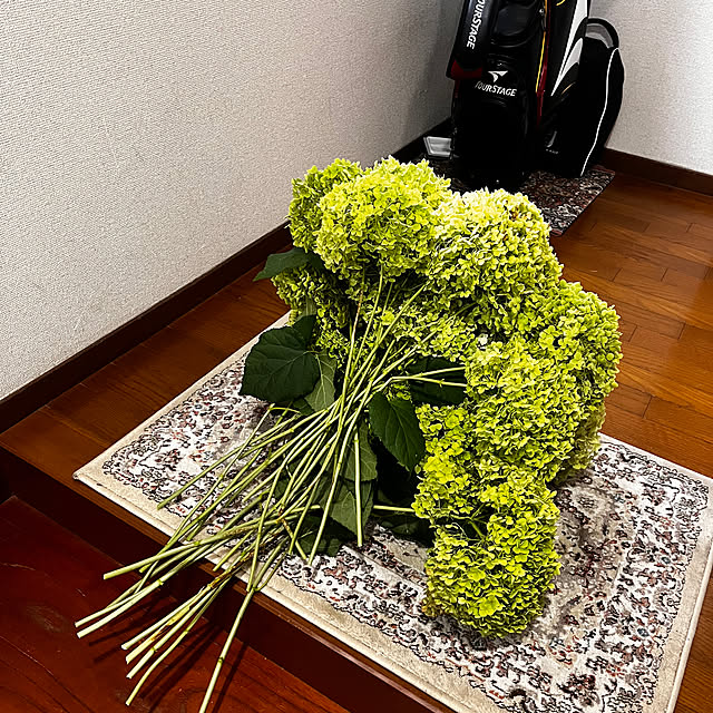 sho-takeさんの部屋