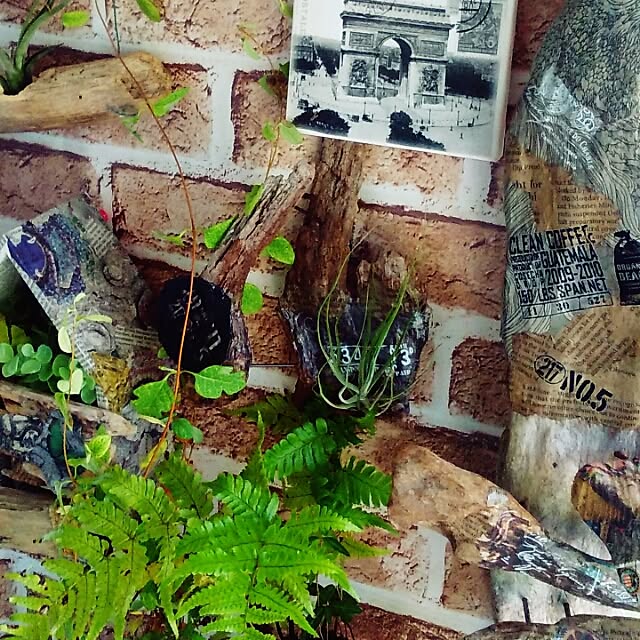 nekoandouさんの実例写真