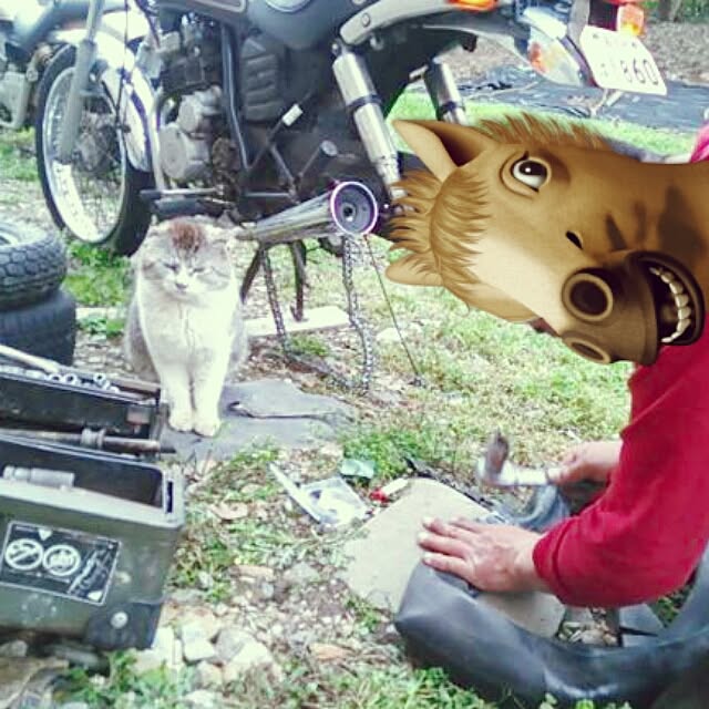 k.namiさんの実例写真