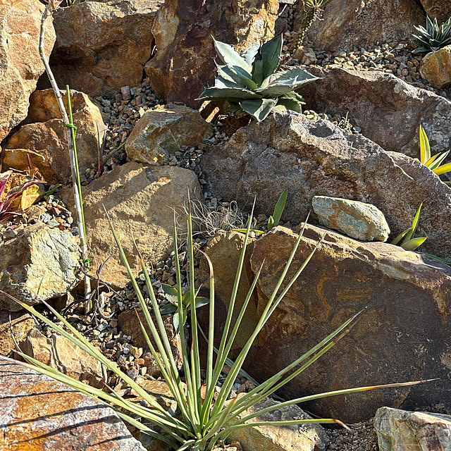 bonjiri0824さんの実例写真