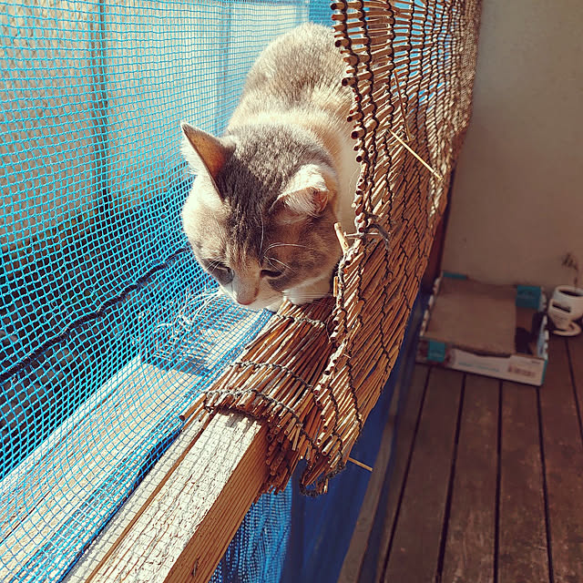fukuさんの実例写真