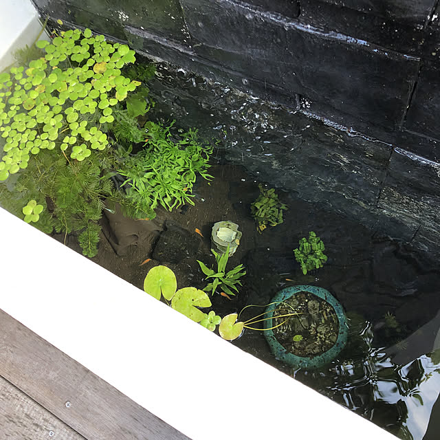 mさんの実例写真