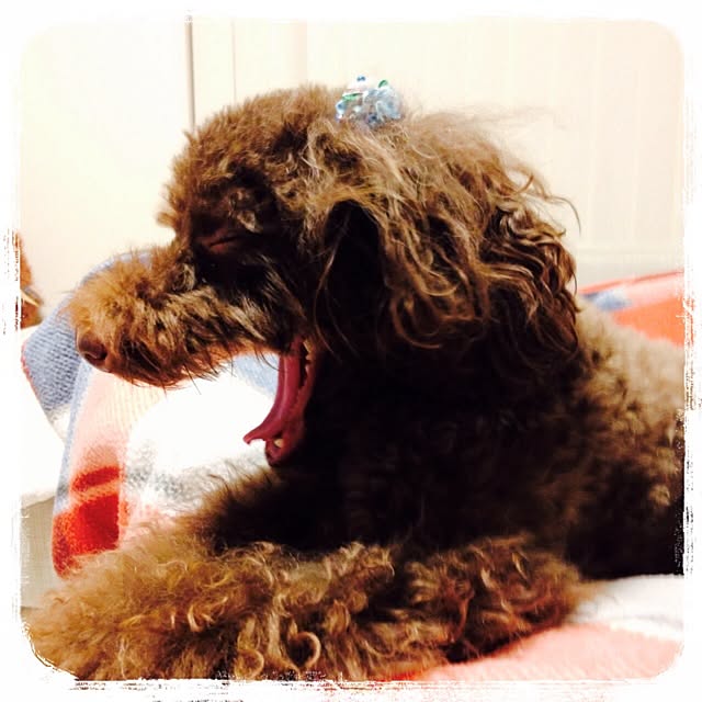 merryさんの実例写真