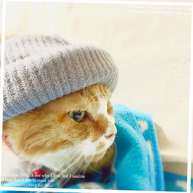 aknmamaさんの実例写真