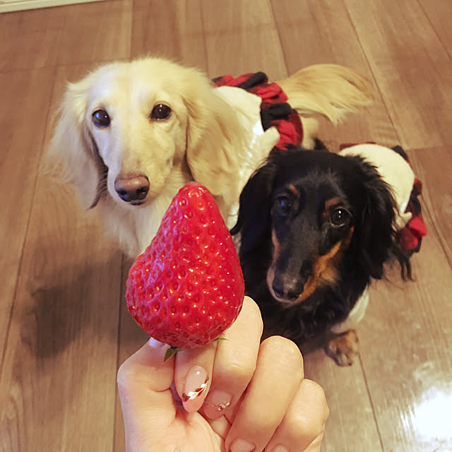 acoさんの実例写真