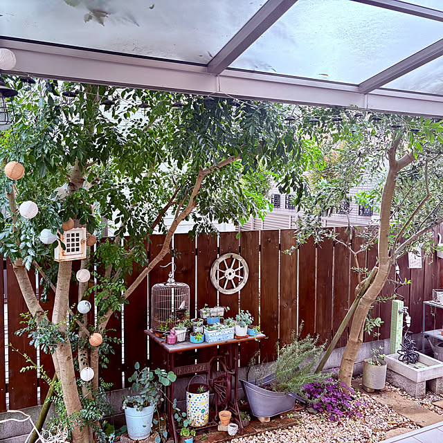 soaさんの実例写真