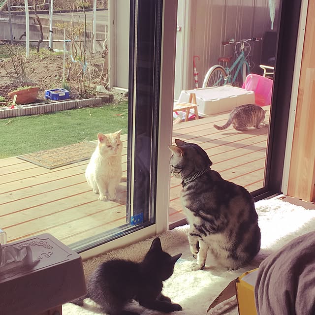 Hirahiraさんの実例写真