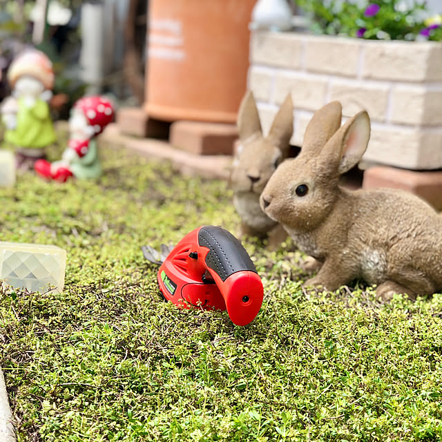 Junさんの実例写真