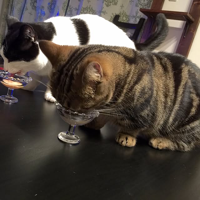 neuruさんの実例写真