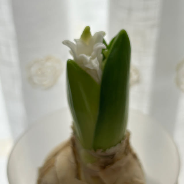 fumikoiさんの部屋