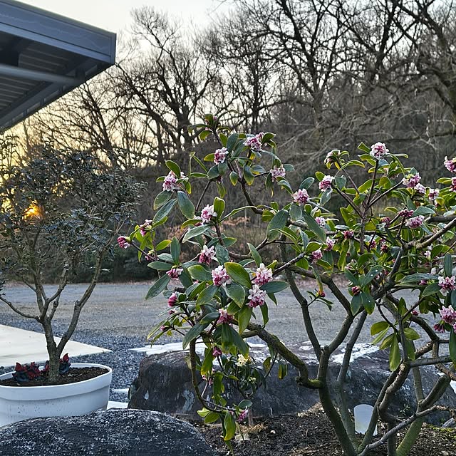 Rubiconさんの部屋