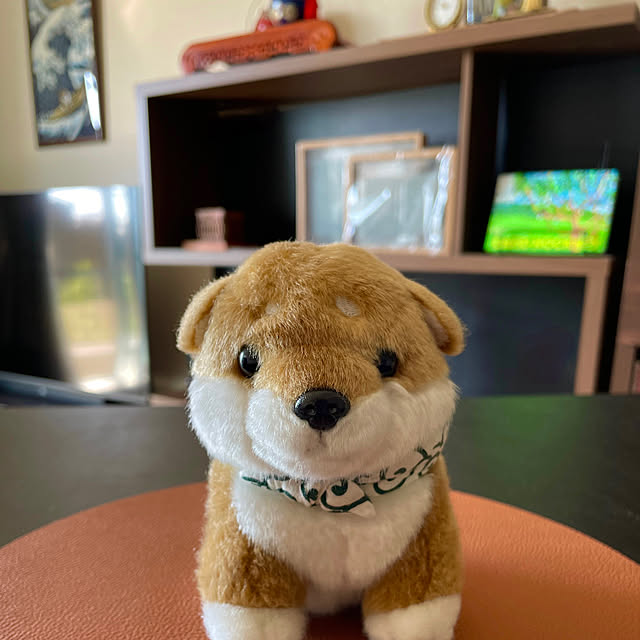 aureaさんの実例写真