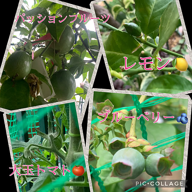 Aqettyさんの部屋