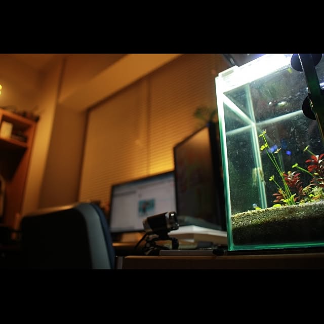 Superior_9さんの実例写真
