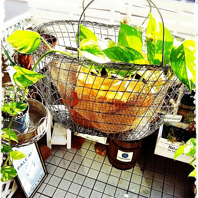 amamiさんの実例写真