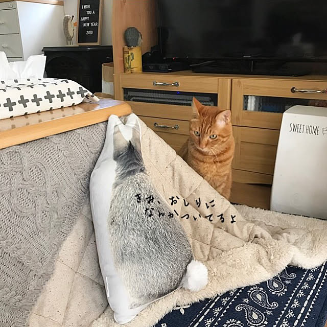 youkoさんの実例写真