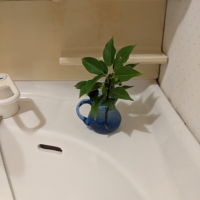 jajaさんの部屋