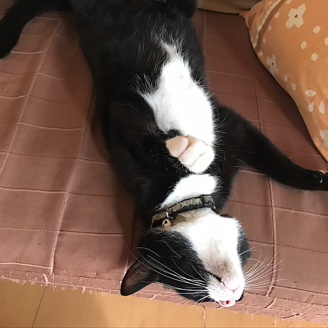 nmさんの実例写真