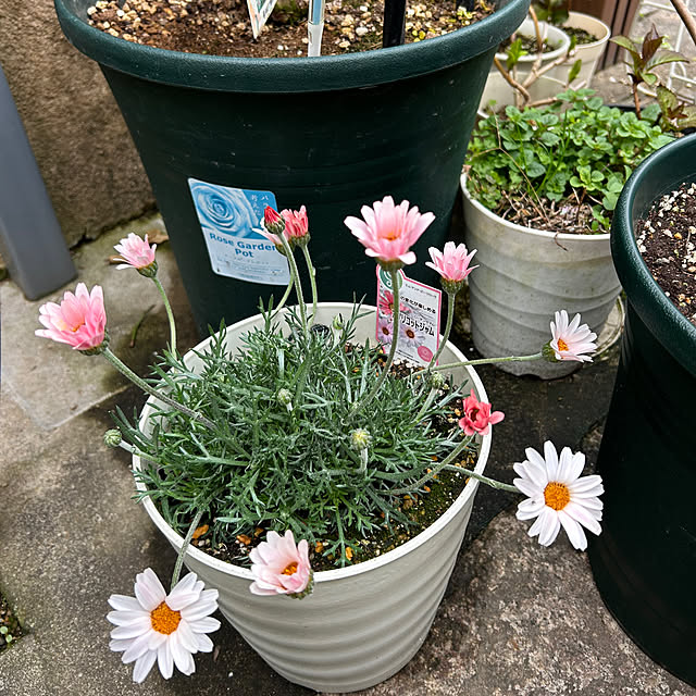 fumikoiさんの部屋