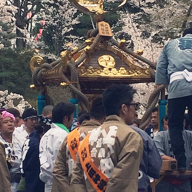 実例写真