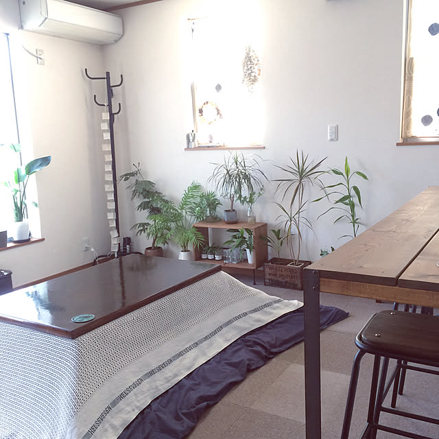 oliveandcheeseさんの実例写真