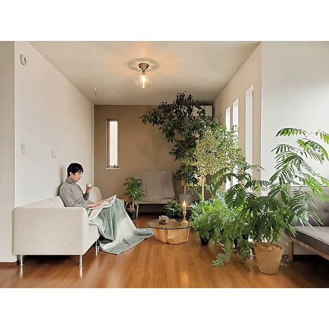 moniさんの実例写真