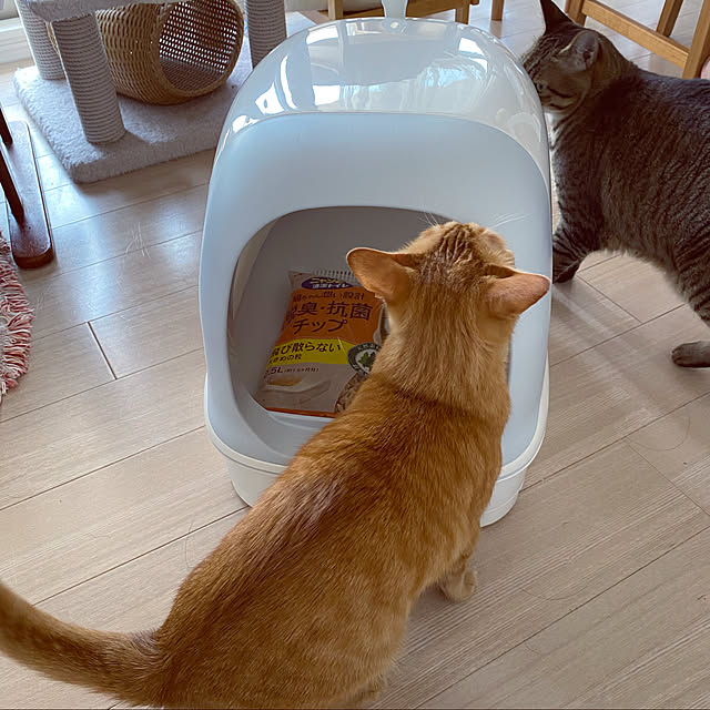 naturalさんの実例写真