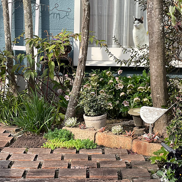 nobikoさんの実例写真