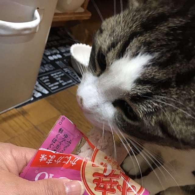 Rumiさんの実例写真