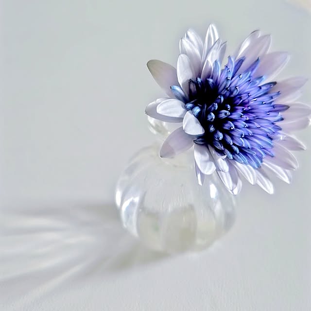 YuriYuriさんの部屋