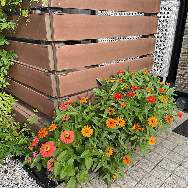 ronronさんの部屋
