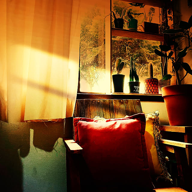 cafe-plageさんの実例写真