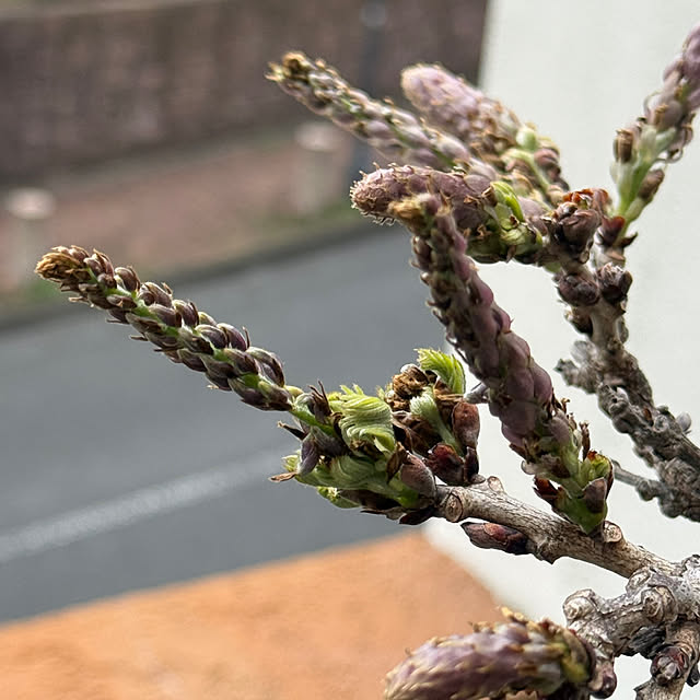 Aqettyさんの部屋