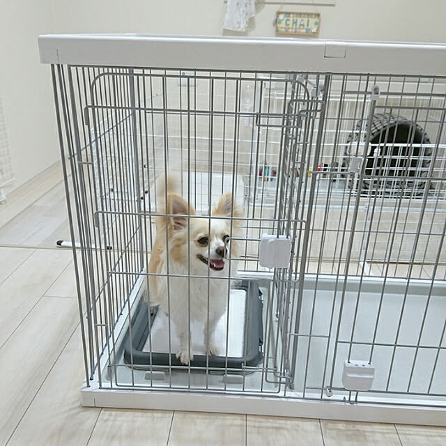 PAOさんの実例写真