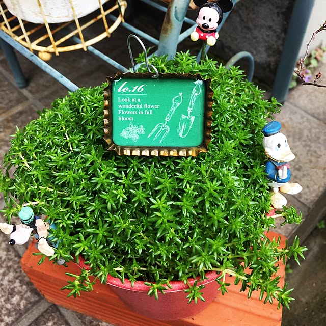 takakoさんの実例写真
