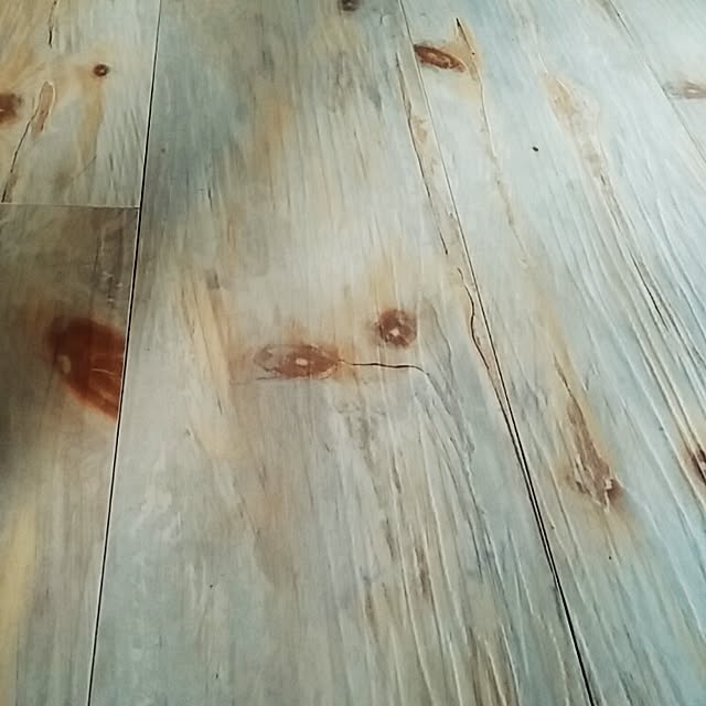 shugoさんの実例写真