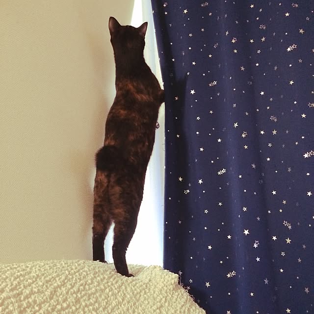 threeさんの実例写真