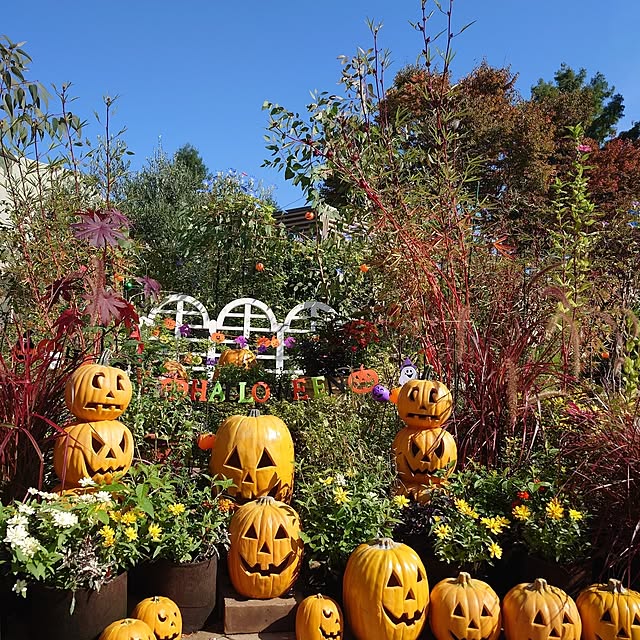 mayuroseさんの部屋