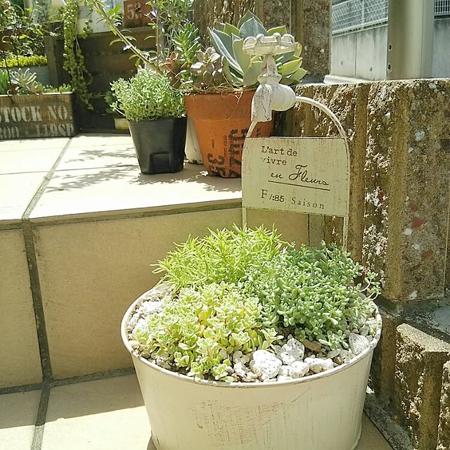 greencafeさんの実例写真