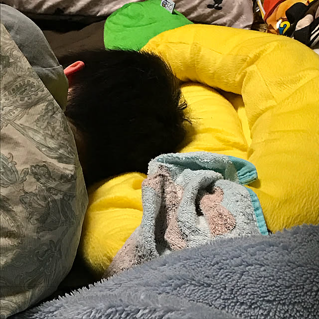 c131さんの実例写真