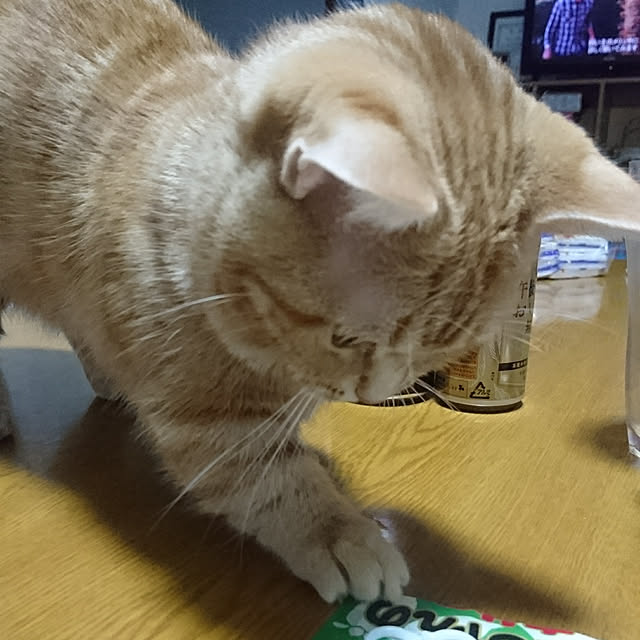 shinobuさんの実例写真