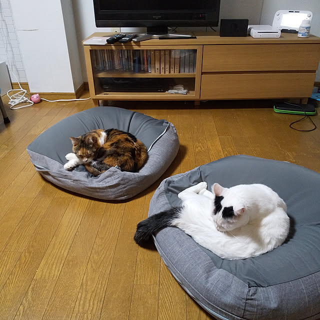 yukieさんの実例写真