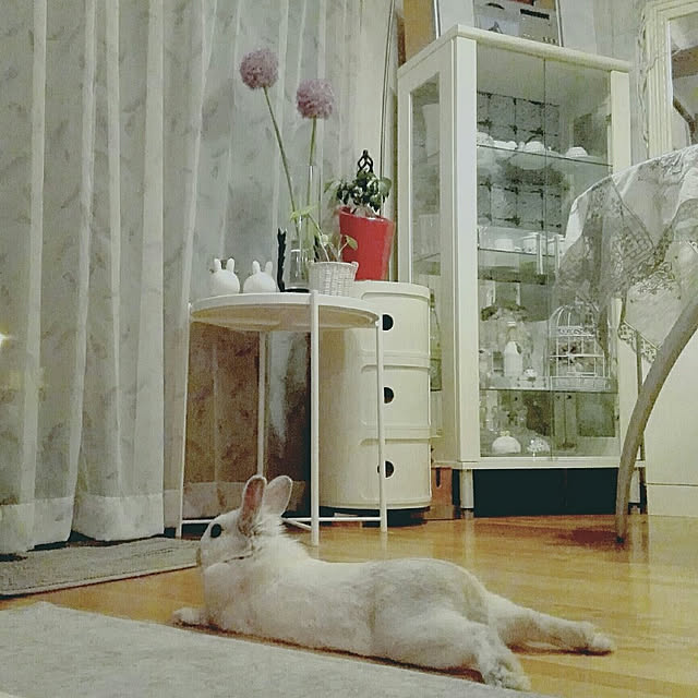 usako.usaさんの実例写真