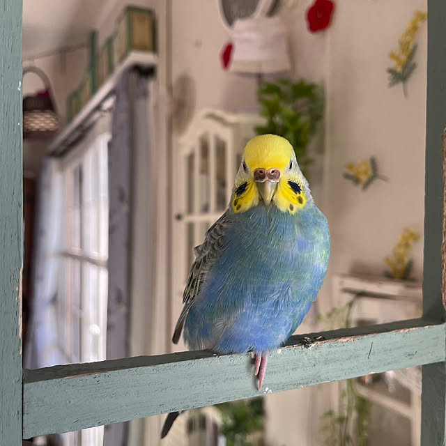 Atsukoさんの部屋