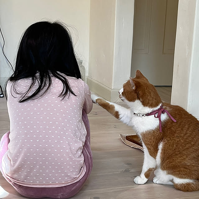 sakuraさんの実例写真