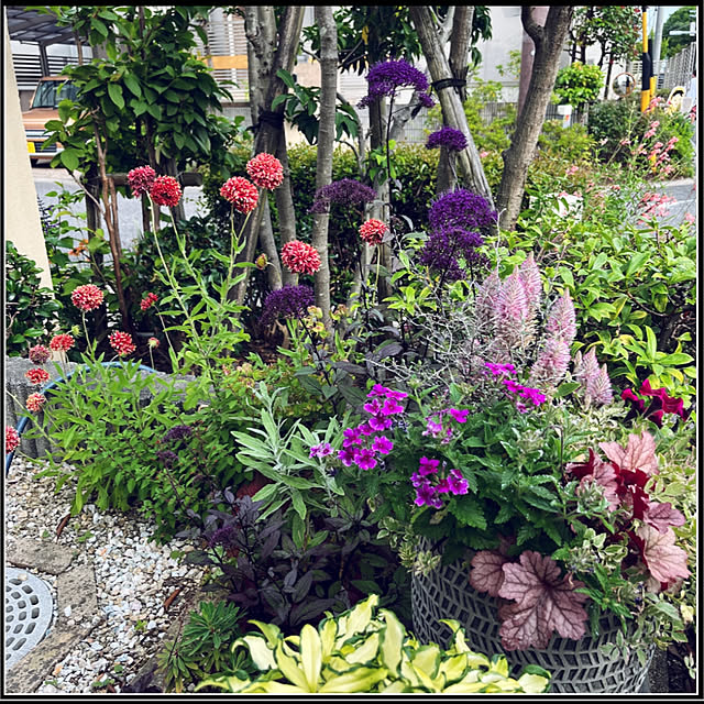 yukarin-gardenさんの実例写真