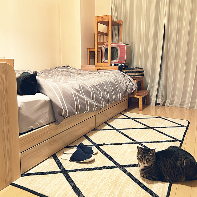 ベッド周り/猫基地/キャットタワー代わり/キャットタワー/昔の家具...などのインテリア実例 - 2025-04-20 22:54:55