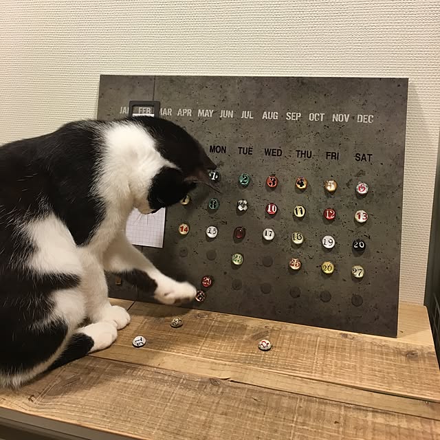 mikomaruさんの実例写真