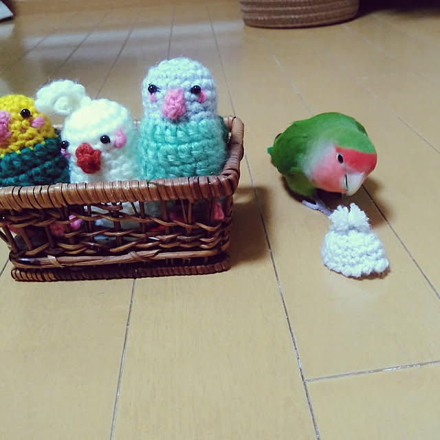 toratanさんの実例写真